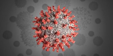 Savanna Regional Minister appeals for intensified education on COVID-19