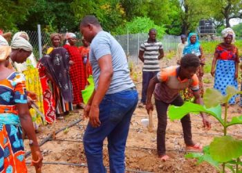 Ghana Wildlife Society Trains Farmers on Climate-Smart Agricultural Technologies at Mognori