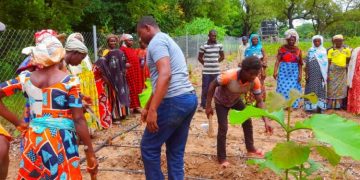 Ghana Wildlife Society Trains Farmers on Climate-Smart Agricultural Technologies at Mognori
