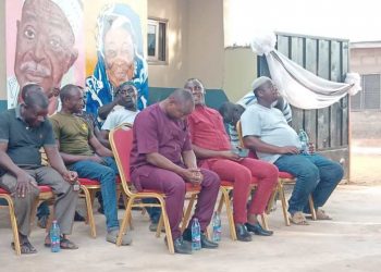 Abu Jinapor Sends Delegation to Apologize for Political Clashes at Busunu Queen Mother’s Funeral.